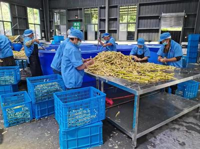 雅安市雨城區 嚴守食用林產品安全防線，推動食用農產品研發創新