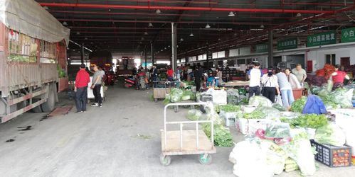 當好廣元人民的菜籃子，川陜甘農產品交易中心 從集散樞紐到研發引擎的蝶變