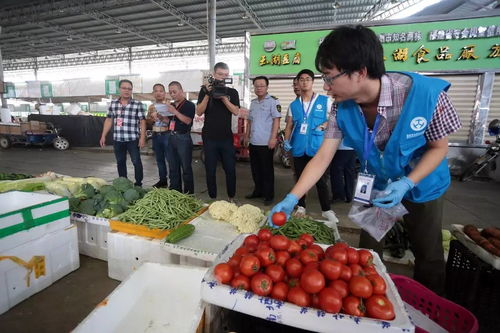 人大代表政協委員現場見證，食用農產品抽檢合格率百分百的背后