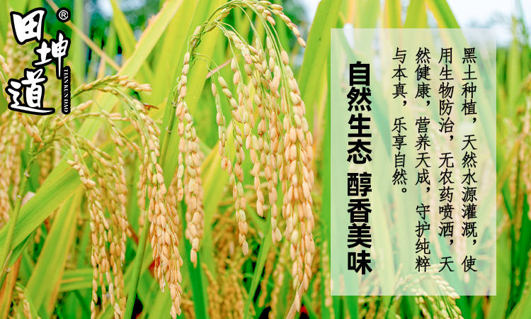 田坤道 深耕食用農產品研發，于平凡中鑄就非凡財富