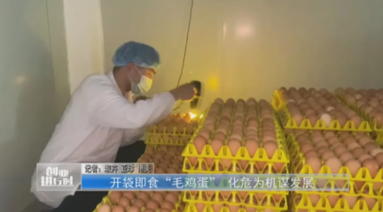 河南鹿邑 開袋即食“毛雞蛋” 化危為機(jī)謀發(fā)展